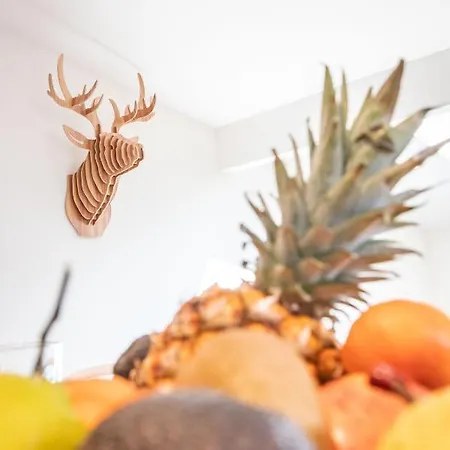 Apartman Hygge Lary - De Standing En Coeur De Village Des Pyrenees